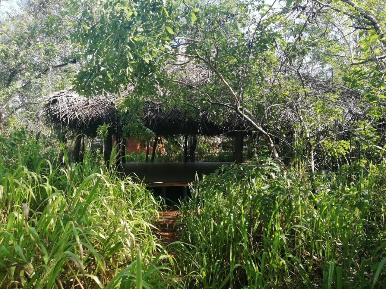 Kuwera Eco Lodge 시기리야 외부 사진