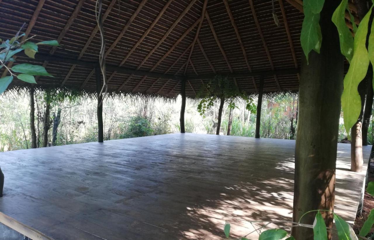 Kuwera Eco Lodge 시기리야 외부 사진
